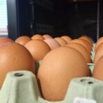 Eier